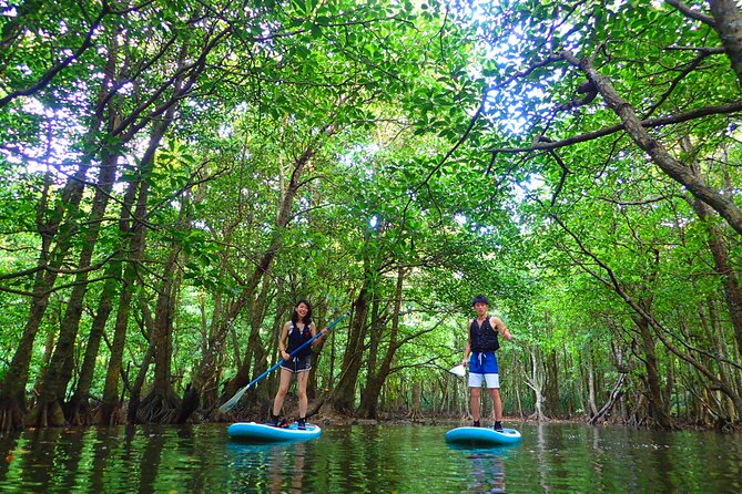 Okinawa Iriomote SUP or Canoe and Sightseeing in Yubujima Island - Safety, age rules, and weather limits