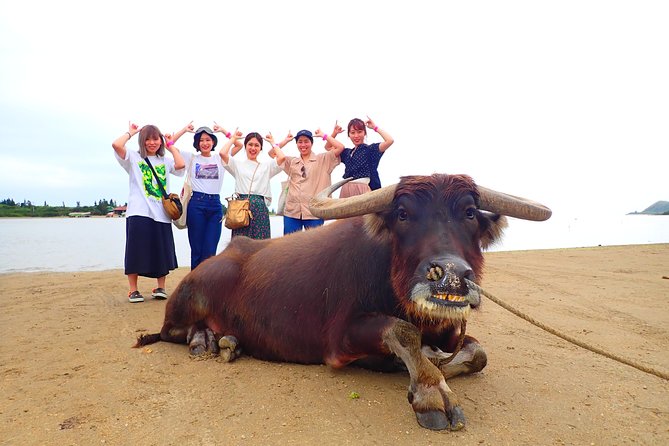 Okinawa Iriomote SUP or Canoe and Sightseeing in Yubujima Island - Should you book the Iriomote and Yubu Island tour?