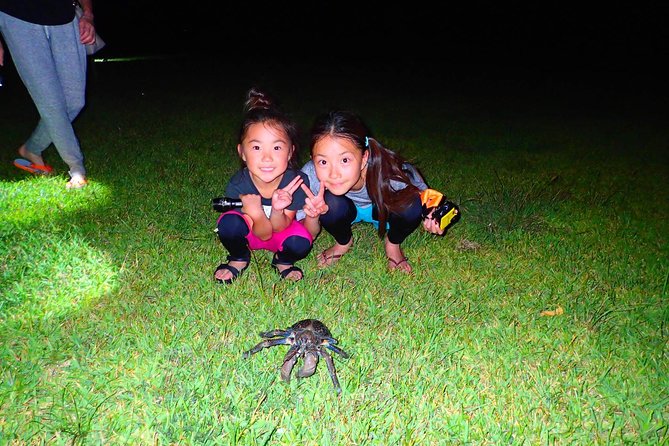 Okinawa Iriomotejima Night Adventure Tour - The 8:00 PM pickup keeps the evening easy