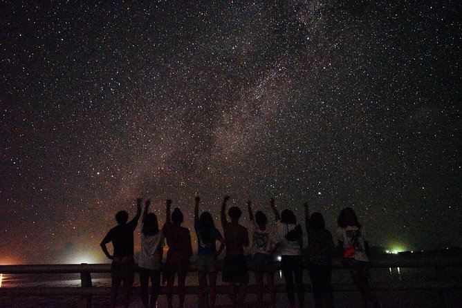 Okinawa Ishigaki Island Night Starry sky and Jungle night tour - Key points to know before you book