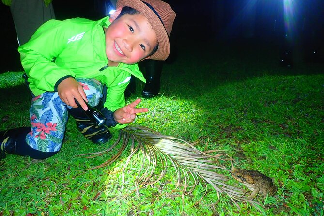 Okinawa Ishigaki Island Night Starry sky and Jungle night tour - Ishigaki after dark: two natural shows in 90 minutes