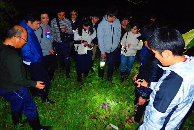 Okinawa Ishigaki Island Night Starry sky and Jungle night tour - How weather changes the experience