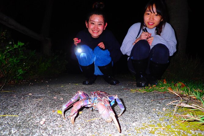 Okinawa Ishigaki Island Night Starry sky and Jungle night tour - Meeting at Ishigaki Terminal at 7:30 pm