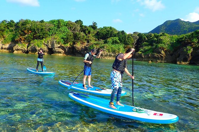Okinawa Ishigaki Kabira Bay SUP or Canoe Tour - Is the Price of $52.19 Good Value?