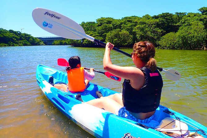 Okinawa Ishigaki Mangrove SUP or Canoe Tour - Key points to know before you book