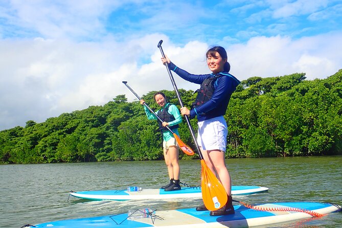 Okinawa Ishigaki Mangrove SUP or Canoe Tour - What the SUP and canoe options feel like