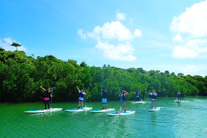 Okinawa Ishigaki Mangrove SUP or Canoe Tour - Why the guides matter on a simple activity