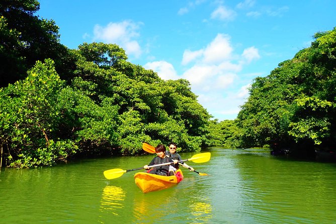 Okinawa Ishigaki Mangrove SUP or Canoe Tour - Meeting at Ishigaki Port and getting ready