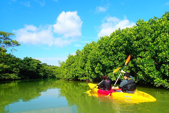 Okinawa Ishigaki Mangrove SUP or Canoe Tour - Hot showers make the short tour more useful
