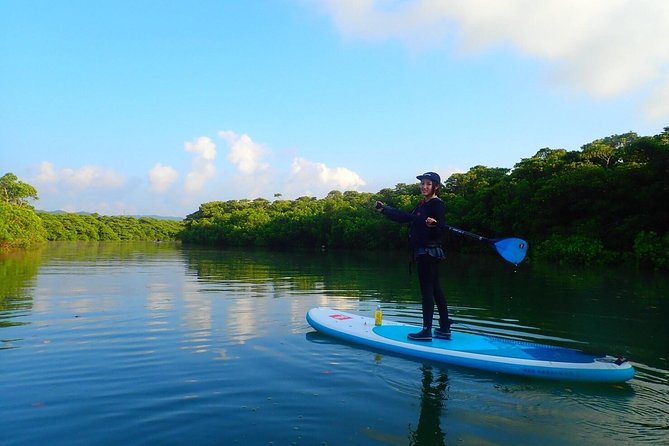 Okinawa Ishigaki Mangrove SUP or Canoe Tour - Price and value at $52.19