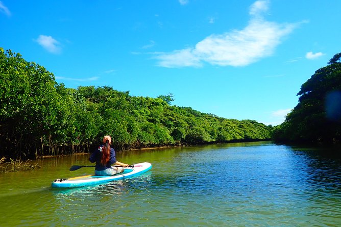 Okinawa Ishigaki Mangrove SUP or Canoe Tour - Weather, age limits, and other real concerns