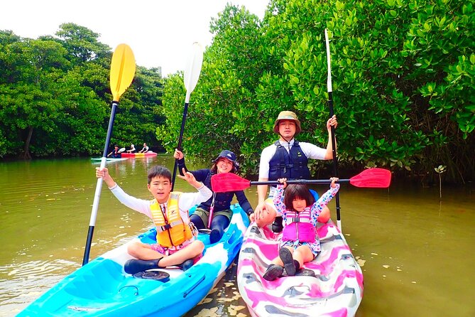 Okinawa Ishigaki Mangrove SUP or Canoe Tour - The Miyara River Hirugi Grove stop