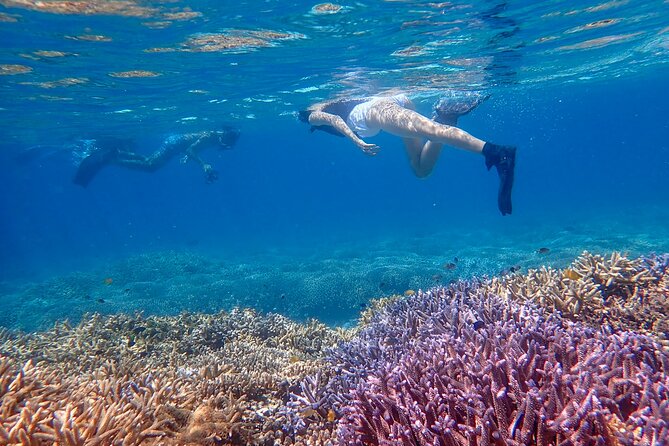 Okinawa Ishigaki Phantom Island Snorkeling Tour - Who will enjoy this Ishigaki outing