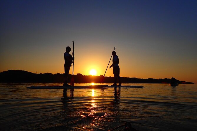 Okinawa Ishigaki Sunset SUP or Canoe Tour - Paddling through the Miyara River Hirugi Grove