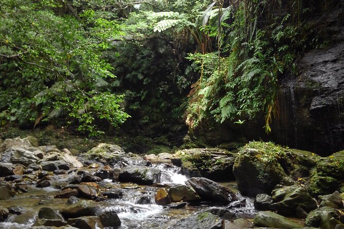 Okinawa Jungle Trails & Waterfalls – Private Yanbaru Tour - Following the river toward the mini waterfalls