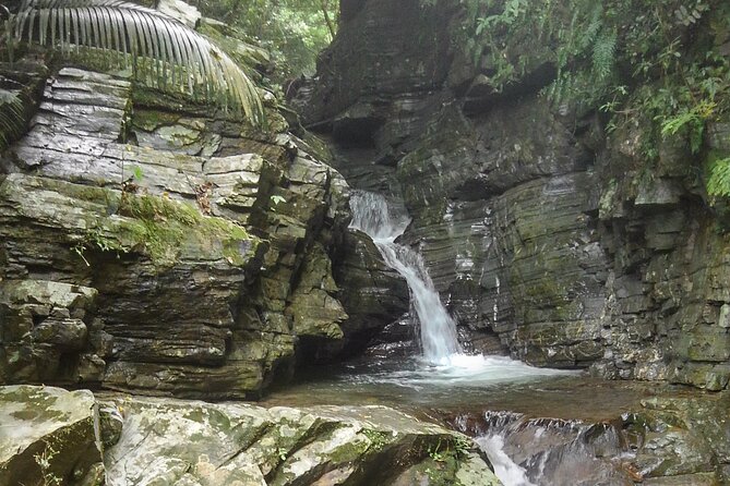 Okinawa Jungle Trails & Waterfalls – Private Yanbaru Tour - A good choice for families and mixed-ability groups