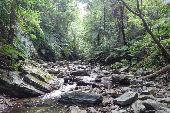 Okinawa Jungle Trails & Waterfalls – Private Yanbaru Tour - Price, timing, and overall value