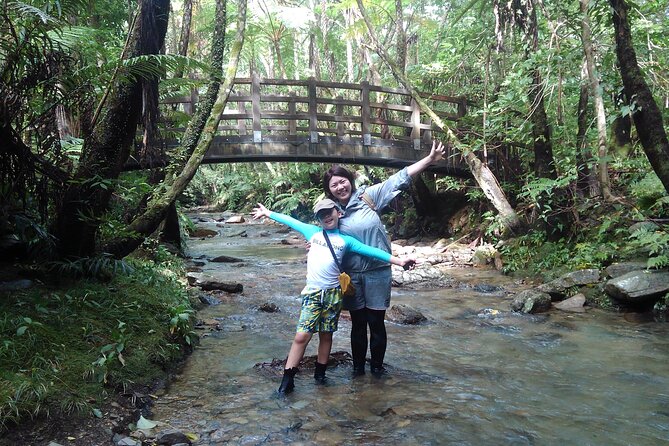 Okinawa Jungle Trails & Waterfalls – Private Yanbaru Tour - The first 30 minutes: foliage, humidity, and signs of Yanbaru life