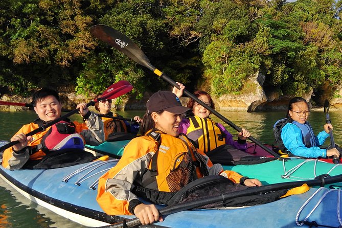 Okinawa: Kayak Mangroves & Ocean Native-English Private Tour - Why northern Okinawa is the right place for this paddle