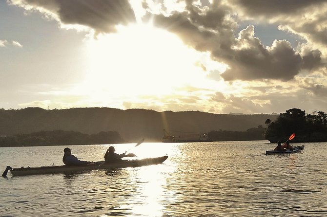Okinawa: Kayak Mangroves & Ocean Native-English Private Tour - Kouri Ohashi, tea, and a proper break