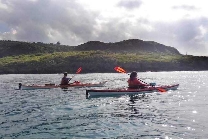 Okinawa: Kayak Mangroves & Ocean Native-English Private Tour - Reef, golden sand, and the Nakijin coastline