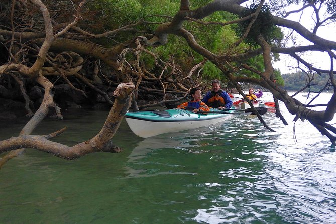 Okinawa: Kayak Mangroves & Ocean Native-English Private Tour - What the private format adds