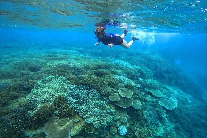 Okinawa: Kayak & Snorkel, Private Tour in Yanbaru - Why the private format matters