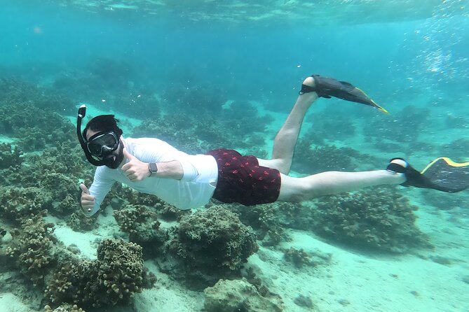 Okinawa: Kayak & Snorkel, Private Tour in Yanbaru - Reading the weather and sea conditions