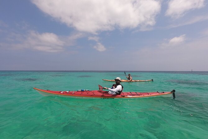 Okinawa: Kayak & Snorkel, Private Tour in Yanbaru - My call: book it for the flexible north coast