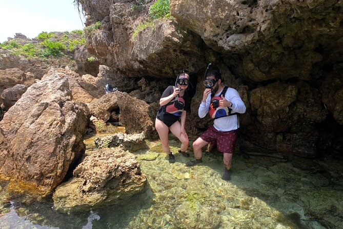Okinawa: Kayak & Snorkel, Private Tour in Yanbaru - Snorkeling over fish and coral near Motobu