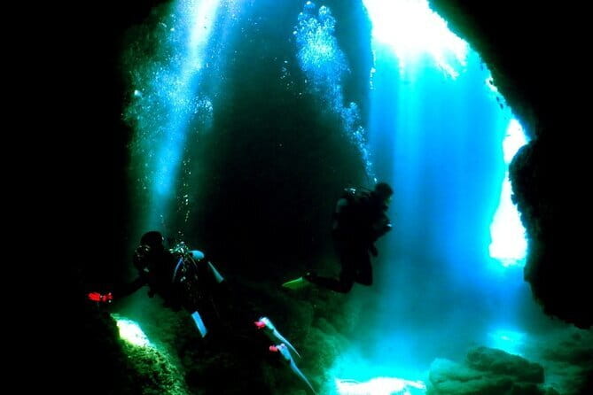 Okinawa:Kerama Islands experience Diving/Snorkeling/WhaleWatching - Snorkeling from the same boat
