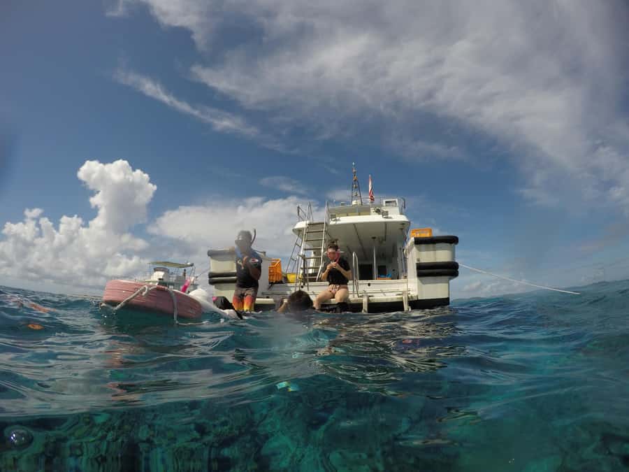 Okinawa : Kerama Whole Day Snorkeling Tour From Chatan/Naha - What happens once the boat reaches the reefs