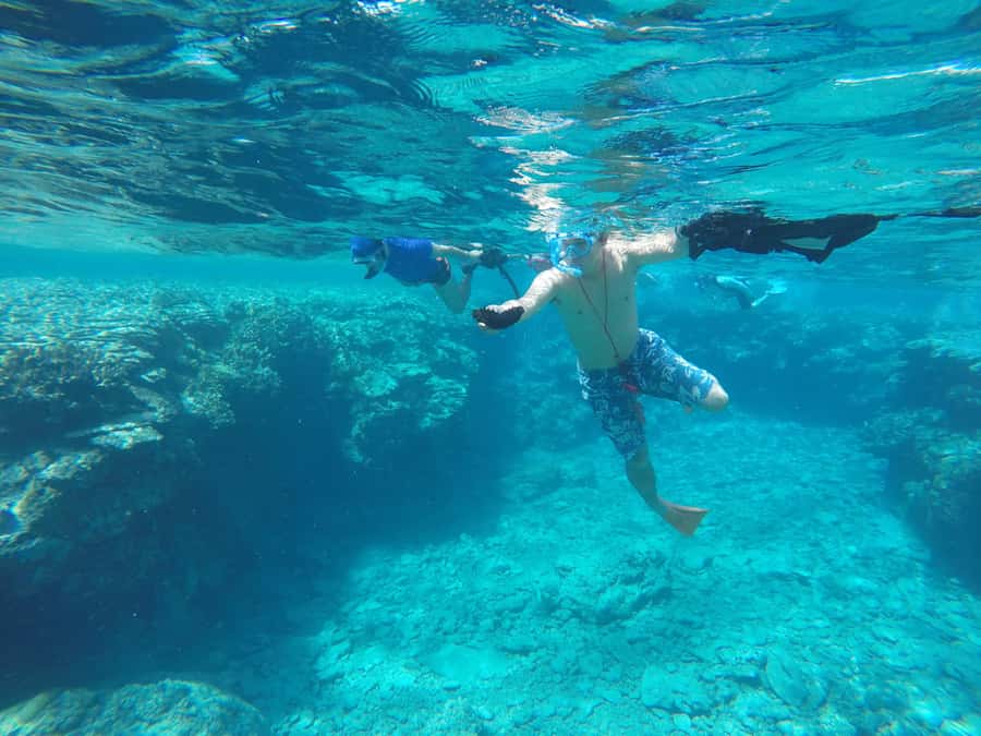 Okinawa : Kerama Whole Day Snorkeling Tour From Chatan/Naha - Snorkeling with fish, coral, and possible turtles