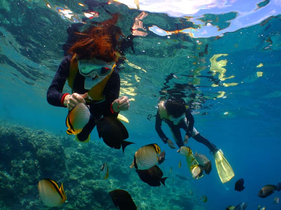 Okinawa : Kerama Whole Day Snorkeling Tour From Chatan/Naha - Choosing Naha or Chatan for your departure