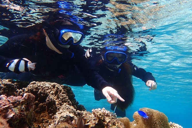 Okinawa Miyako 3set Beach SUP, Snorkeling,Pumpkin Cave,Canoeing - The midday break and afternoon changeover