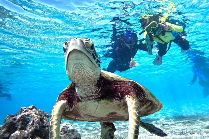 Okinawa Miyako Beach SUP or Canoe and sea turtle Snorkeling - What the six-hour schedule really looks like
