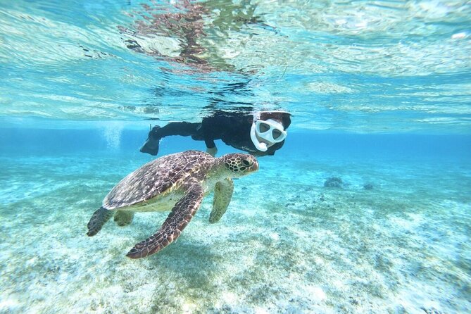 Okinawa Miyako Beach SUP or Canoe and sea turtle Snorkeling - Choosing SUP or canoeing
