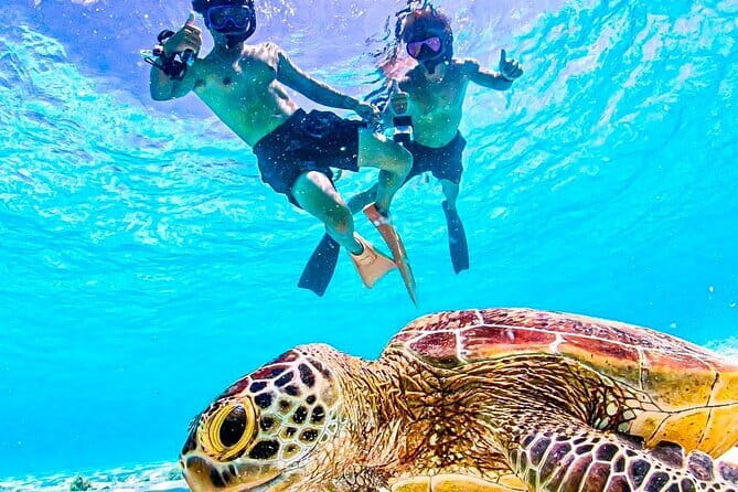 Okinawa Miyako Sea turtle Snorkeling Free Pick up and Drop off - Key points to know before booking