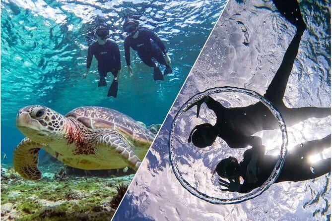 Okinawa Miyako Sea turtle Snorkeling Free Pick up and Drop off - What the two-hour schedule really means