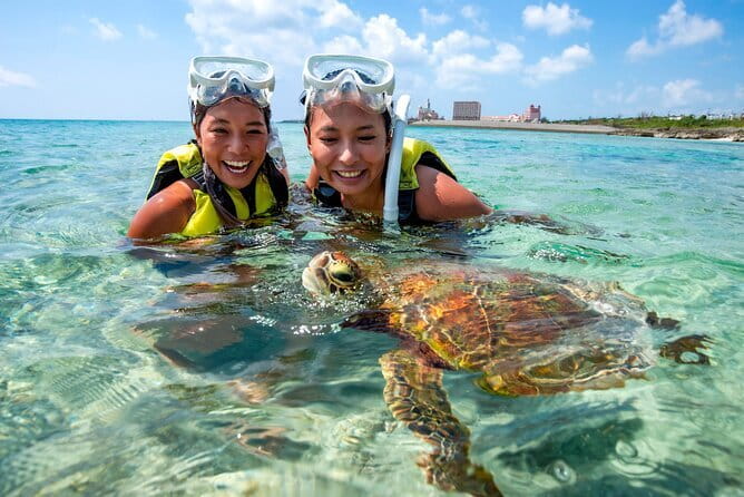 Okinawa Miyako Sea turtle Snorkeling Free Pick up and Drop off - Clear water, clownfish, coral, and a wild encounter