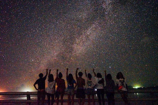 Okinawa Miyako Star Gazing & Subtropical Jungle Night Tour - Key points to know before you book