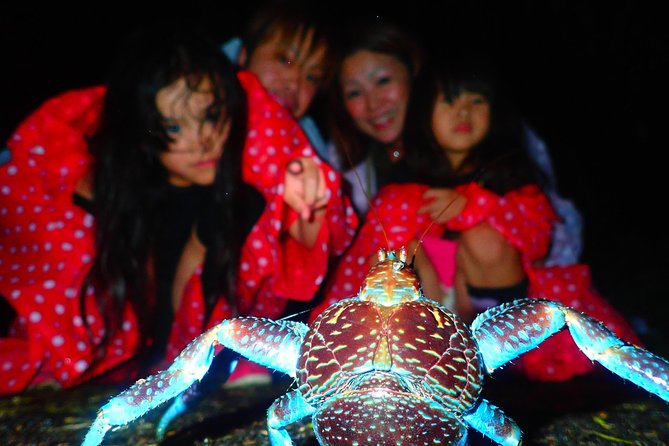 Okinawa Miyako Star Gazing & Subtropical Jungle Night Tour - Meeting at Kurimajima Center Zen Parking Lot