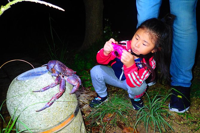 Okinawa Miyako Star Gazing & Subtropical Jungle Night Tour - Is $32.37 a fair price?