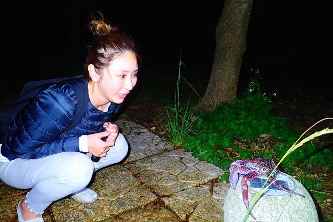 Okinawa Miyako Star Gazing & Subtropical Jungle Night Tour - Sorting out the changing start times