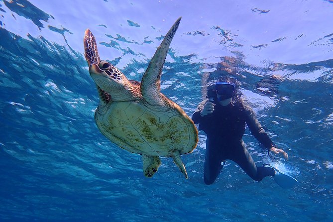 Okinawa Miyakojima 1 day Sea Turtle Snorkeling & Pumpkin Cave & Sea Kayak - Equipment, clothing, and practical preparation