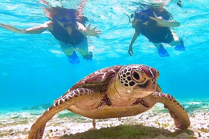 Okinawa Miyakojima 1 day Sea Turtle Snorkeling & Pumpkin Cave & Sea Kayak - Timing, tides, and cancellation rules