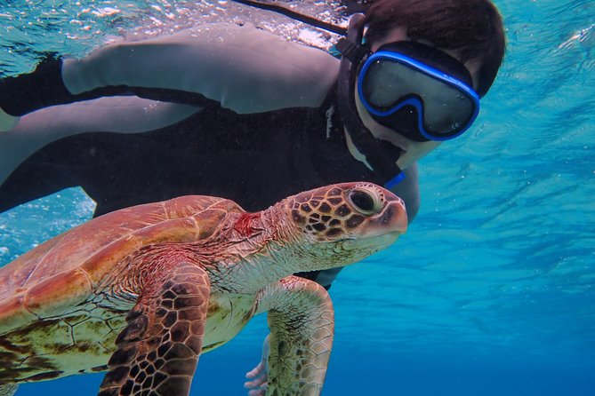 Okinawa Miyakojima Half Day SUPor Canoe & Sea Turtle Snorkeling (Half Day Set) - Snorkeling first: coral, fish, and sea turtles