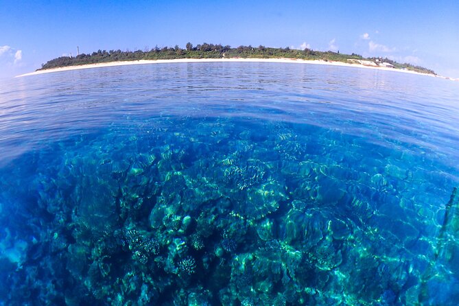 Okinawa: Scuba Diving Tour with Wagyu Lunch and English guide - Who gets the most from the $250 price