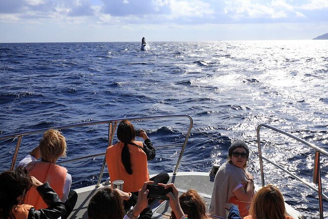Okinawa Whale Watching From Naha - Setting out from Naha toward the Kerama Islands