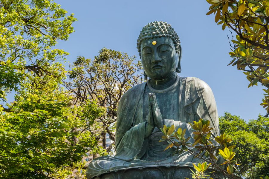 Old and Nostalgic Tokyo: Half-Day Yanaka Walking Tour - Who should book this walk?